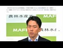 小泉進次郎陣営が自作自演やらせ