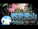 なんで深夜に登山する必要なんかあるんですか(正論)