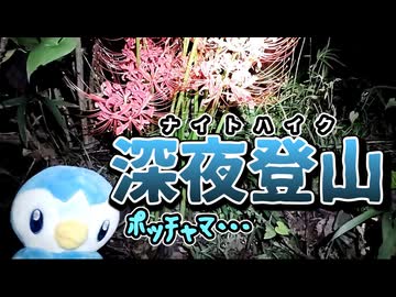 なんで深夜に登山する必要なんかあるんですか(正論)