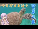 【離島旅行祭2025】野生のウミガメと泳ぐ！奄美大島の旅