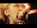 MOV_0042