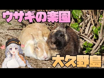 【離島旅行祭2025】大久野島探訪記-ウサギの楽園-