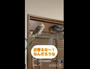 八つ当たり？