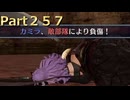 【ファイアーエムブレム無双】【リョナ】【カミラ】 ３０秒リョナPart２５７