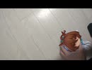 ネクロファンタジアが鳴るアグネスタキオンのオモチャ