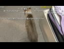 (大仏)面目丸潰れ（2025/09/03）