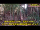(札付きレジェンダリーの正体判明？）変態忍者の、有害鳥獣駆除従事活動記・その３４７