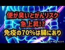 【免疫学の権威・安保徹先生】◆ 便が臭いとがんリスク急上昇！？免疫の70％は腸にあり 酸素と腸で自然治癒する秘密