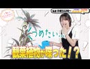 【第312回】にししのらじじ～西明日香のだいじなところ♡～【アーカイブ】