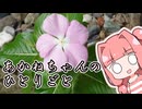 あかねちゃんのひとりごと１９