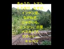 No.9 Voca leaves you (ハッピー秘密基地)生成AI不使用　vocal のみSynthesizer V #coochiebillgameM
