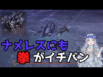 NIGHTREIGN】深き夜のためにナメレスを練習する復讐者【Nameless/Solo】