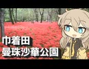 【VOICEVOX旅行】巾着田曼珠沙華公園　～春日部つむぎの埼玉巡り～