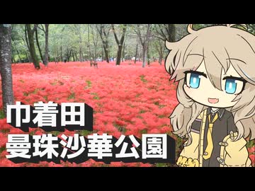【VOICEVOX旅行】巾着田曼珠沙華公園　～春日部つむぎの埼玉巡り～