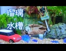 再UP・瑠璃の宝石edのイメージで水槽作ってみた