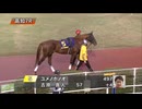 ＪＢＣクラシック指定競走 日本トーター株式会社協賛 第37回珊瑚冠賞 パドック～本馬場入場