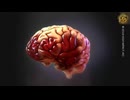 mRNAワクチンが壊滅的な精神保健危機をもたらす