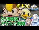 【WhiteCUL誕生祭2025】SC相模原サポーターによる栃木SC戦アウェイ観戦記・小山観光 and 栃木SC戦編【豆腐祭り！一丁目！！】