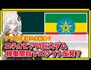エチオピアの巨大ダム正式稼働開始で東アフリカが緊張化へ？【A.I.VOICE解説】