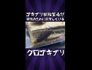 赤髪いかちゃん選手、コンサータを譲渡した疑惑がたってしまうｗｗ