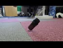 瓶の回転が気になったり・回転が好きだったりする人に向けた動画