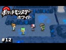 【実況】Nはいろいろ知っている⁉|ポケモンBWpart12