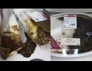594円のセブンイレブンの令和３年産備蓄米使用の牛カレーを食べました。　#セブンイレブン　#牛カレー　#備蓄米