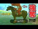 シャイニングヒノックス･空中超追尾弾･ボコ馬強奪など小ネタ集【ティアキン TotK】裏技 バグ 検証 ゆっくり実況 glitch