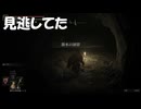 #238【ELDEN RING】オープンワールドだとどうしても見落としはあるわな！【エルデンリング初見実況】
