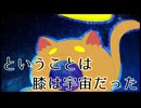 ということは膝は宇宙だった