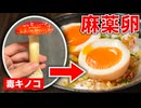 本当にイケない食材で麻薬卵を作ってみた