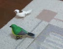 少し怖いけど気になるジュウシマツ 変な声で鳴くキンカチョウ ボーっとするインコ2025年9月30日