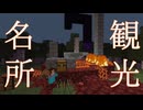 第3話　かんこうめいしょ/【はじめてのマイクラ成長日記】