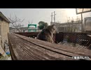 黄昏る猫