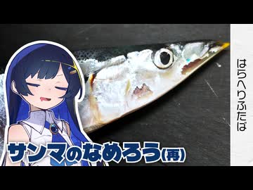 【双葉湊音】今年のサンマは何回食べてもいいですからね【はらへりふたば】