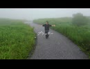 プシュケー / 初音ミク×Haru【Official Music Video】