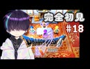 生まれて初めて通るドラクエ【DQ5】#18
