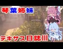 琴葉姉妹のテキサス日誌Ⅲ【VOICEROID実況】【テキサスチェーンソー】【Texas Chain Saw Massacre】【No.16】