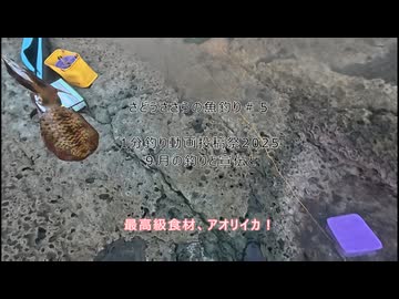 さどうささらの魚釣り＃５　1分釣り動画投稿祭2025 ９月の釣りと宣伝と