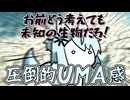わにゃとの遭遇【ソフトウェアトーク劇場】