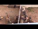 ホモと見るハイエナの飼育小屋へ遊びに行くトラ