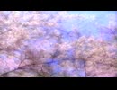 のぞむ光