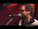 馬車馬
