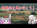 水色スライムのまったりポタリング　佐賀・小城江里山の棚田の裏技