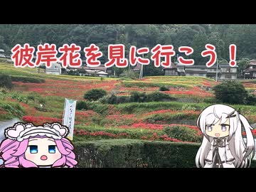 水色スライムのまったりポタリング　佐賀・小城江里山の棚田の裏技