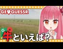 【GeoGuessr】牛さんがいる国といえば？【A.I.VOICE2琴葉茜】