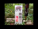 再就職を先延ばしにして原付でちょっくら日本一周してくる【42日目】