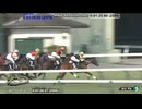 2025 サフラン賞 (2歳1勝クラス)　カウントダウンタイムコードつき