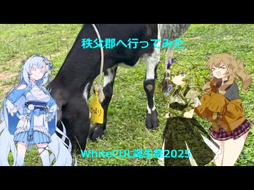 WhiteCULの秩父郡に行ってみた（修正版）【WhiteCUL誕生祭2025】【VOICEVOX旅行】