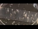 人の肺からプラスチック「解析した全ての患者から検出された」粒子濃度が高いほど炎症値も大きい結果に　医師や研究者の解析で明らかに